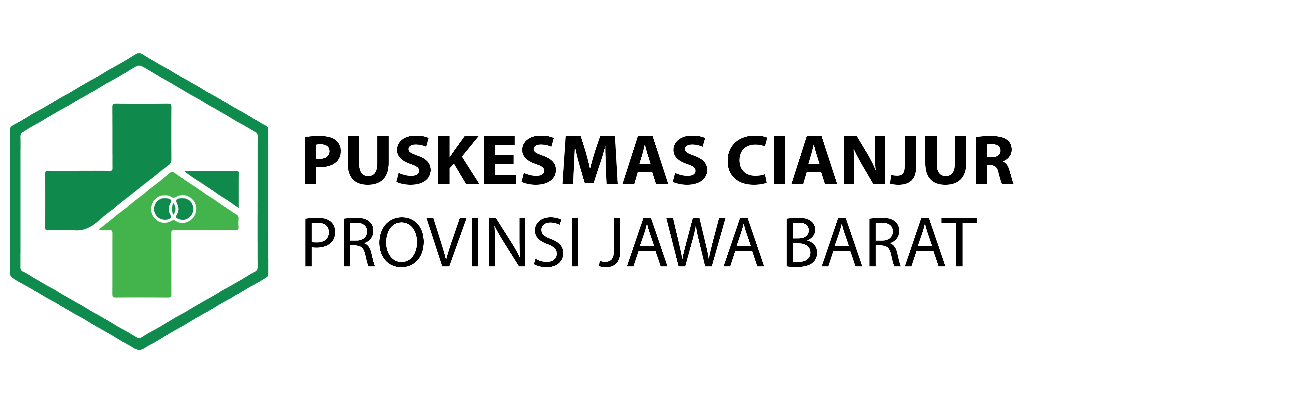 Logo Puskesmas